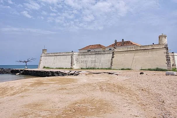 images-2 (1)
